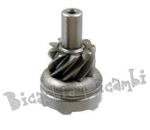4564 pignone messa in - -,