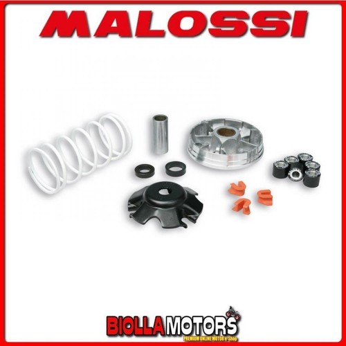 519019 variatore malossi - variatore,