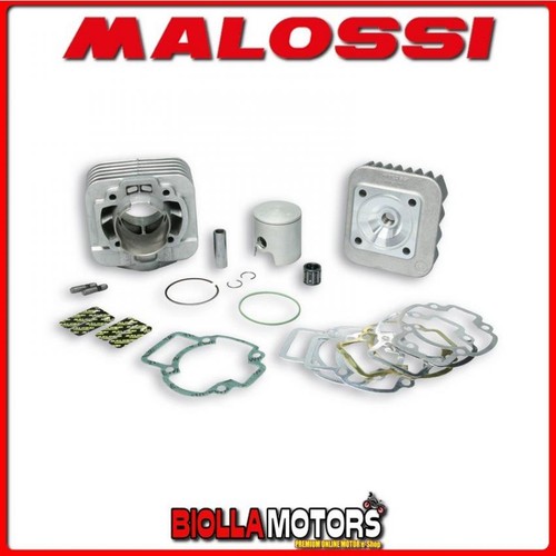 318398 gruppo termico malossi - 318398,